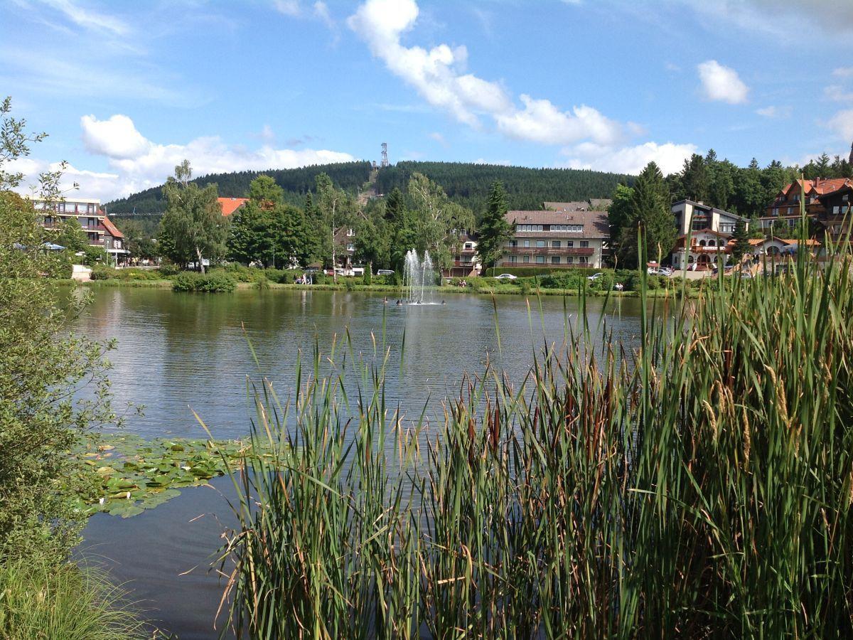 Bocksbergblick Fewo Auszeit Goslar Esterno foto